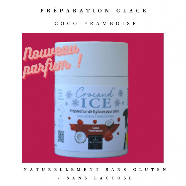 Préparation Glace Coco Framboise