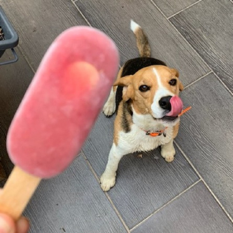 Préparation Glace Pomme Fraise