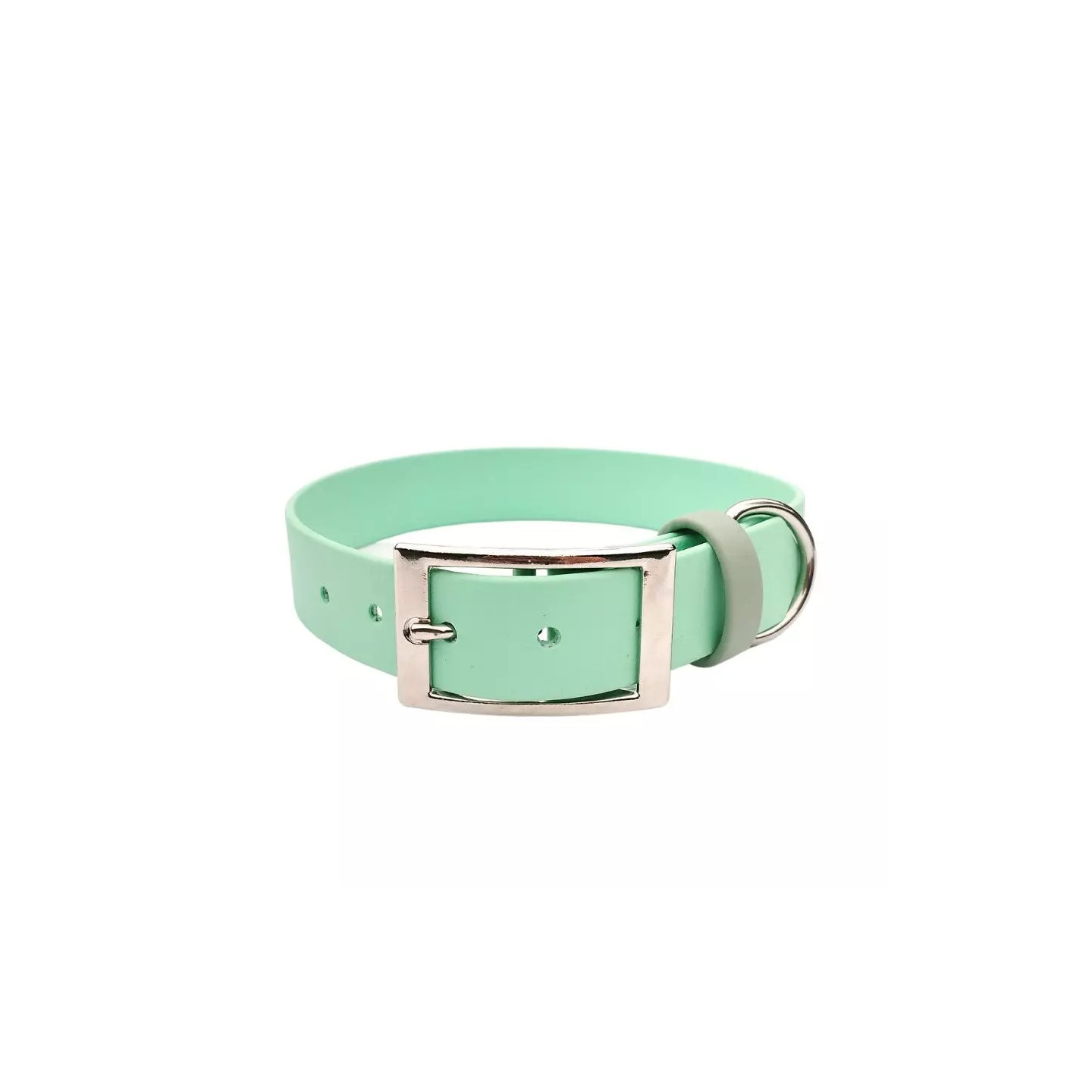 collier en biothane Menthe