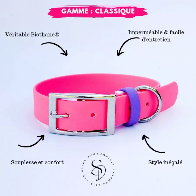 Collier en Biothane rose Pithaya et laisse (2ème démarque -25% au lieu de 15%)