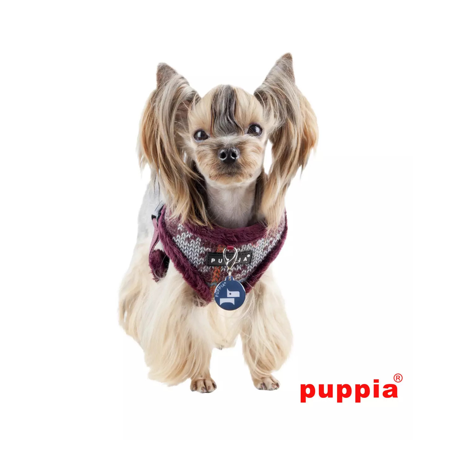 Harnais ELDRIC  Bordeaux     PUPPIA